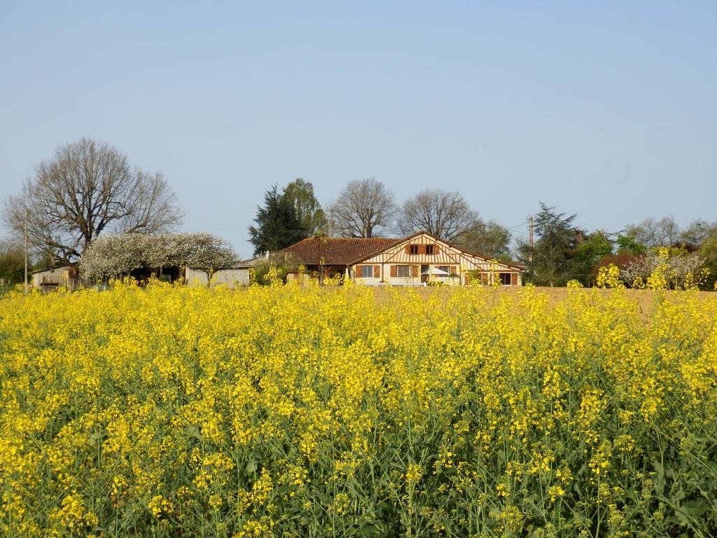 Gites Perruchet Castelnavet Exterior photo